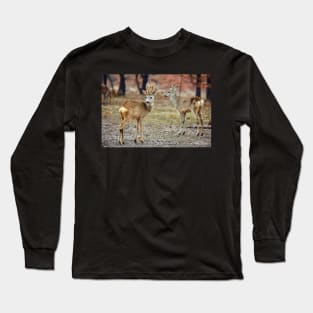 Roe deer family Long Sleeve T-Shirt